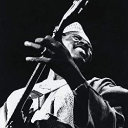 Touré, Ali Farka - The...