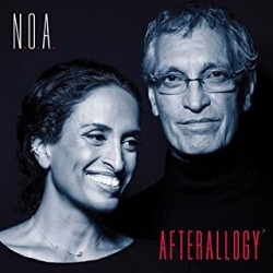 Noa - Afterallogy - LP 180 Gr.