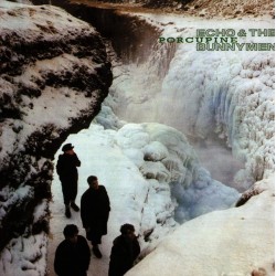 Echo And The Bunnymen -...