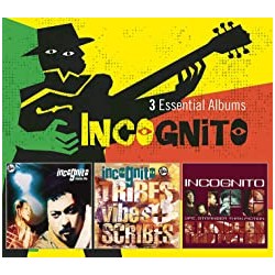 Incognito - 3 Essentials...