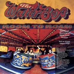 Waterboys, The - Room To...