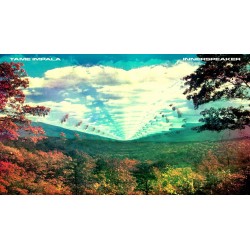Tame Impala - Innerspeaker...