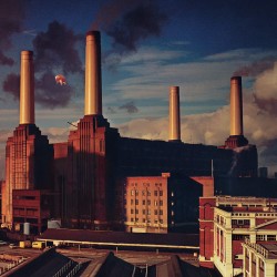 Pink Floyd - Animals - LP...