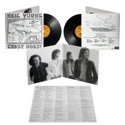 Young, Neil - Dume - 2 LPs...