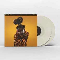 Little Simz - Sometimes I...
