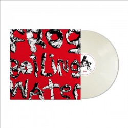 DIIV - Frog In Boiling...