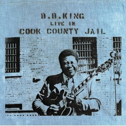 BB King - Live In Cook...