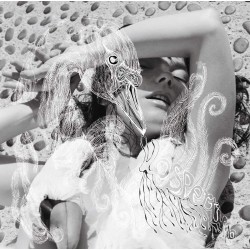 Björk - Vespertine - 2 LPs