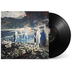Echo & The Bunnymen -...