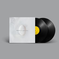 Wilco - A Ghost Is Born - 2...