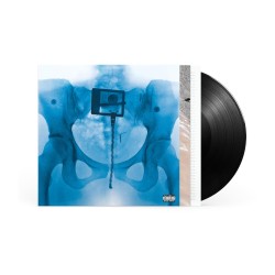 Lorde - Virgin - LP 180 Gr.