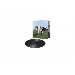 Pink Floyd - Atom Heart...