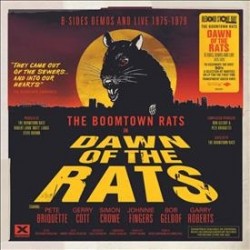 The Boomtown Rats - THE...