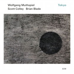 Muthspiel, Wolfgang Trio -...